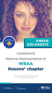 K Anesa C 169x300