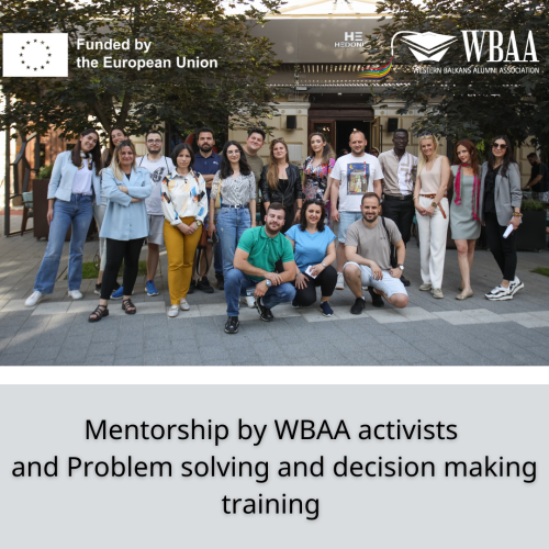 Mentorship by WBAA activists and Problem solving and decision making training