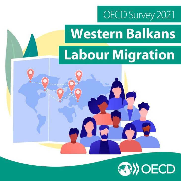 OECD WBAA Survey