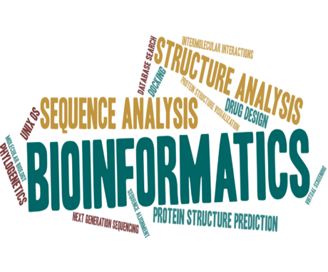 Bioinfo1 460x381